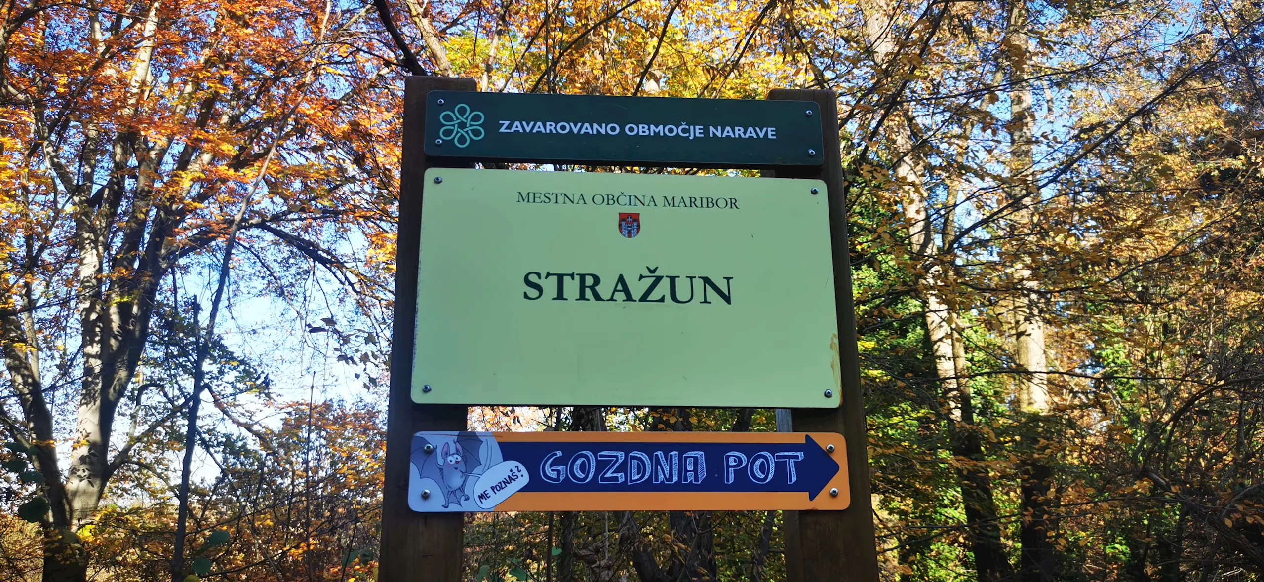 Strazun November 2020 Karmen Razlag 1