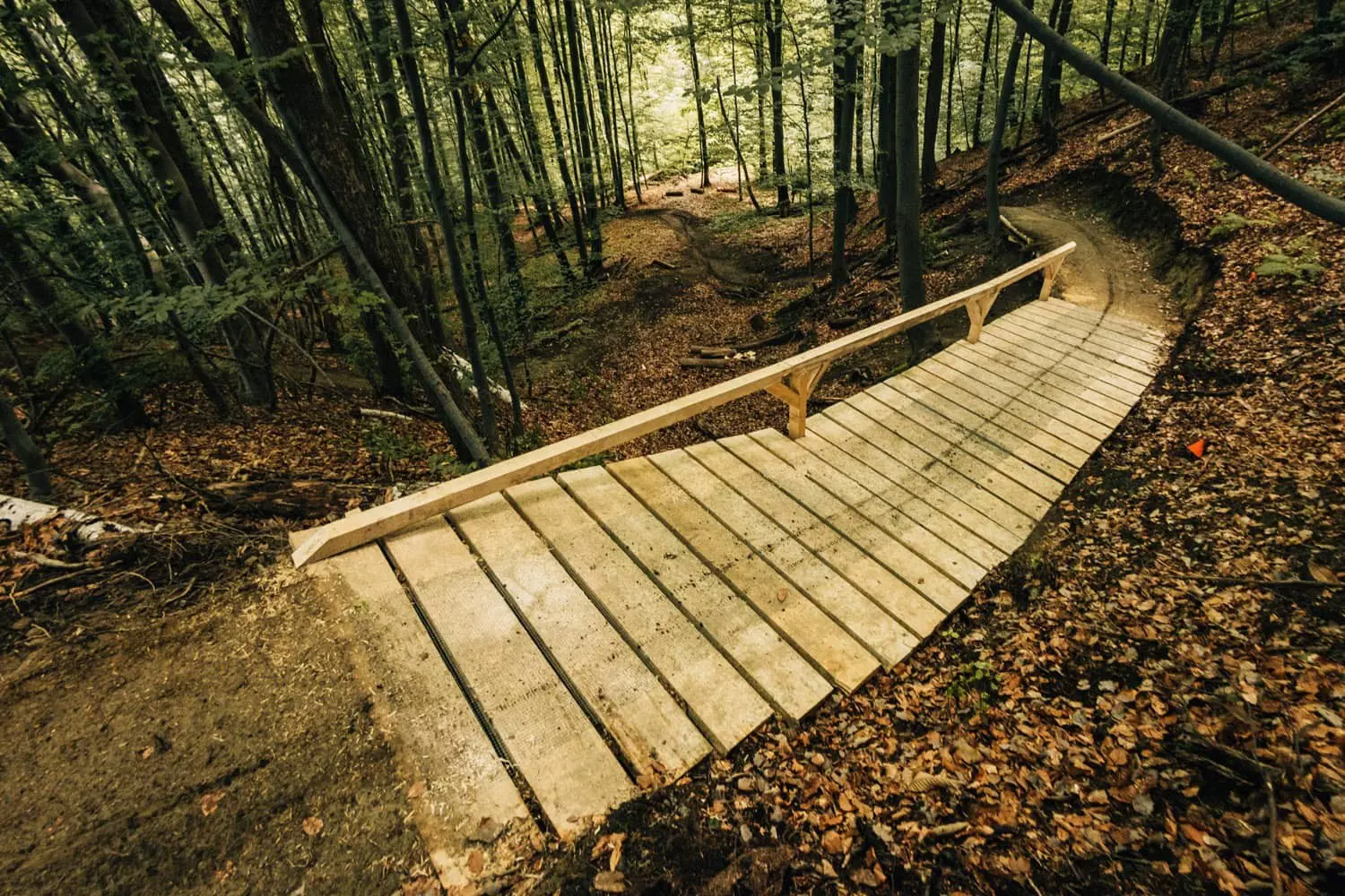 Redfoxtrail