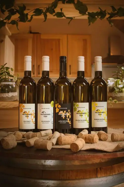 Vino Valdhuber Ceh Maribor Pohorje Slovenija Slovenia Anja Roj 1