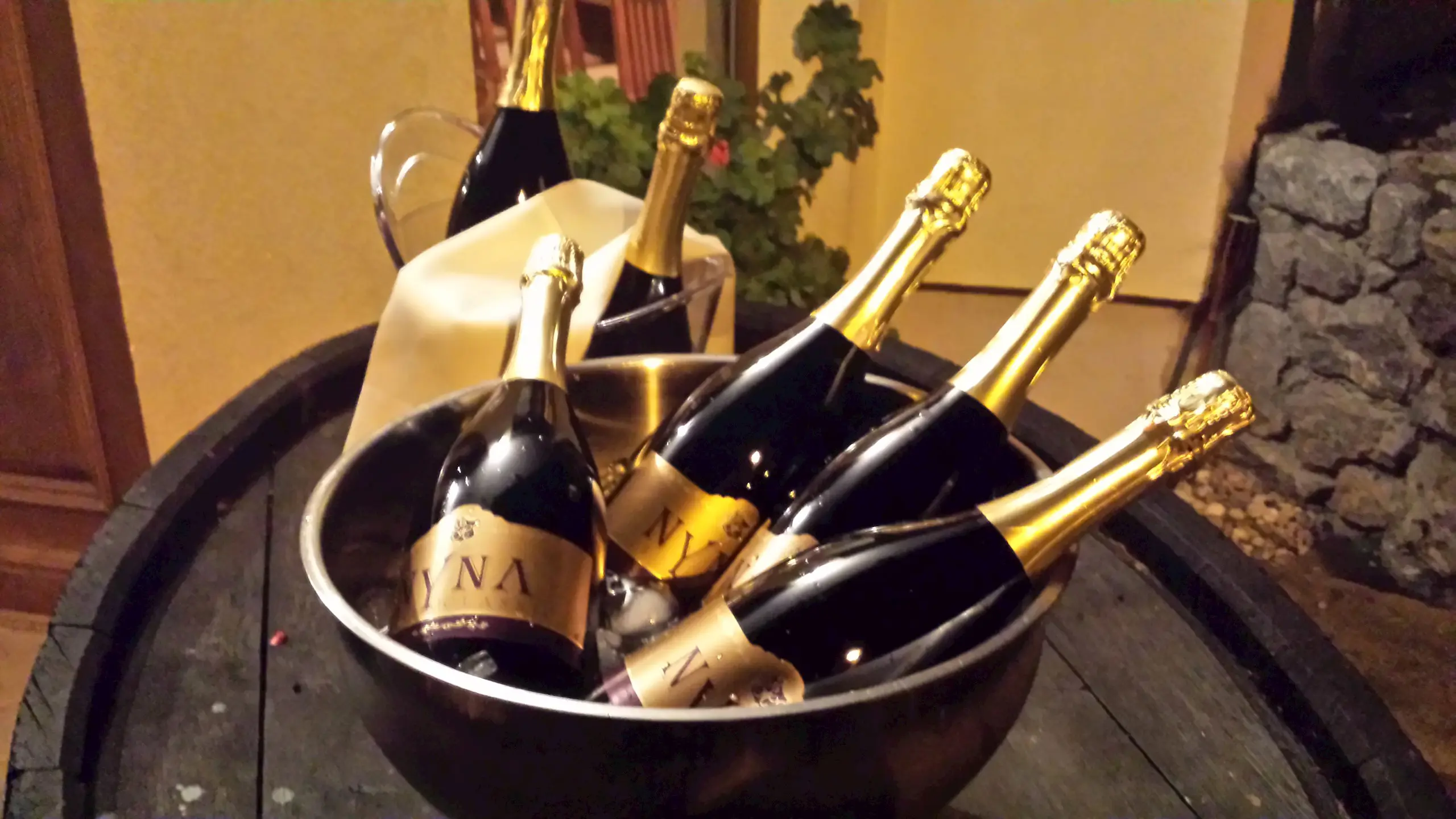Vinogradi Horvat