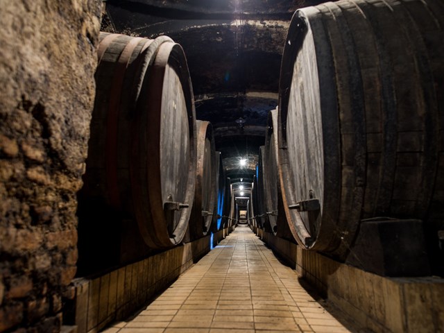 Visit to the Vinag Wine Cellar - for individual guests
