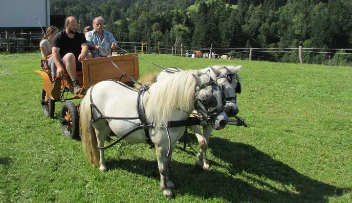 Kmetija Lipnik Visit Maribor Pohorje Slovenia Slovenija