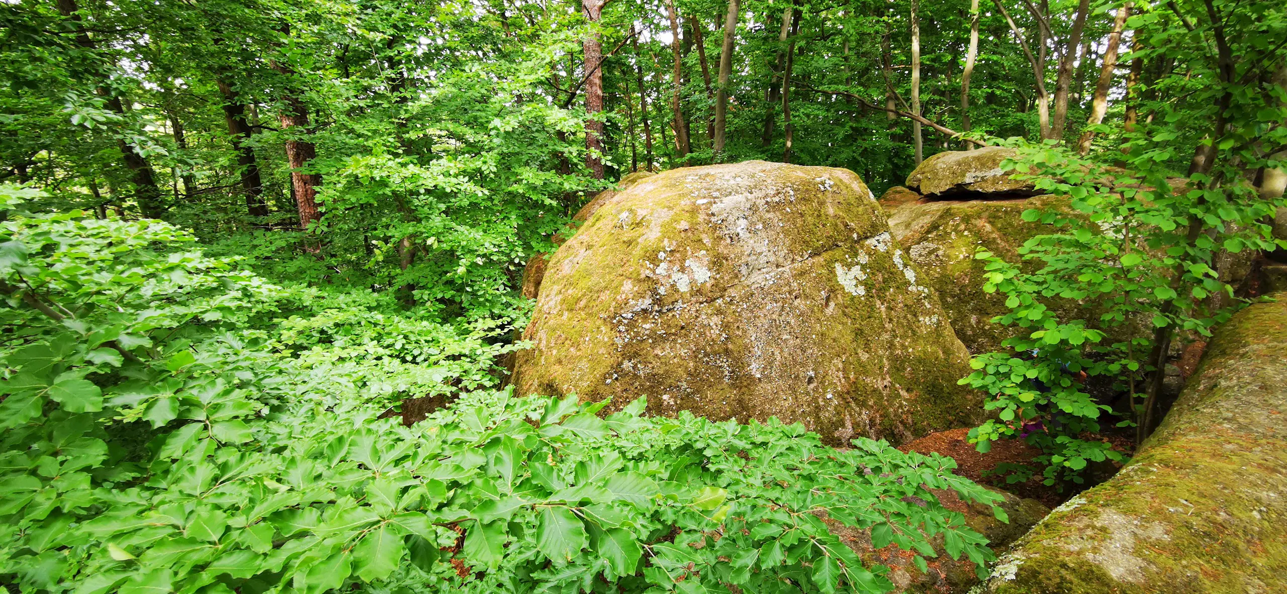 Hudiceve Skale Pohodniska Pot Izletniska Tocka Maribor Pohorje Slovenija Slovenia Karmen Razlag 18