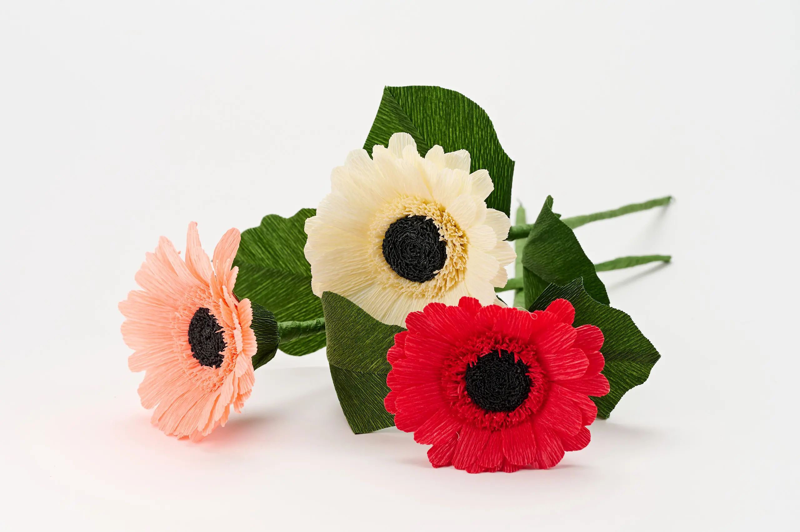 Zvonko Miksa Gerbera Nase Najboljse Maribor Pohorje Slovenija Slovenia Tomo Jesenicnik