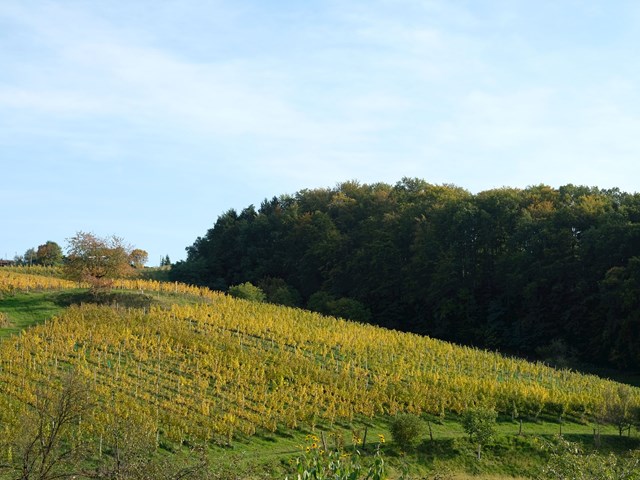 Ecological tourist farm Valentan