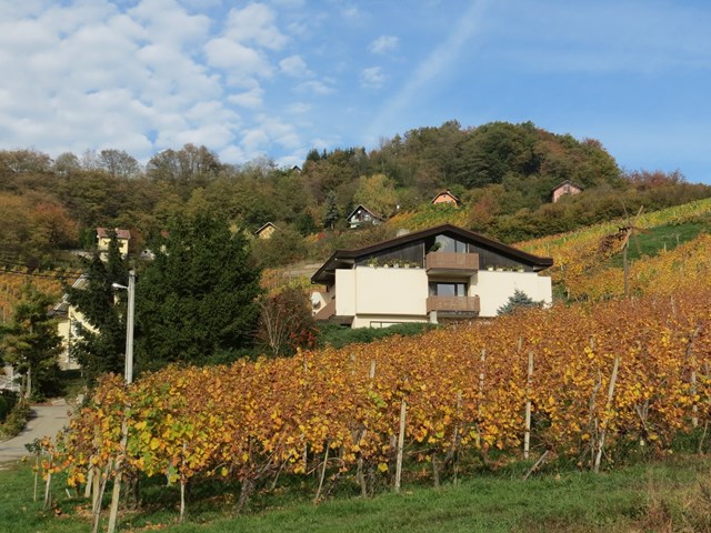 Vinogradi Horvat (Winemaker)