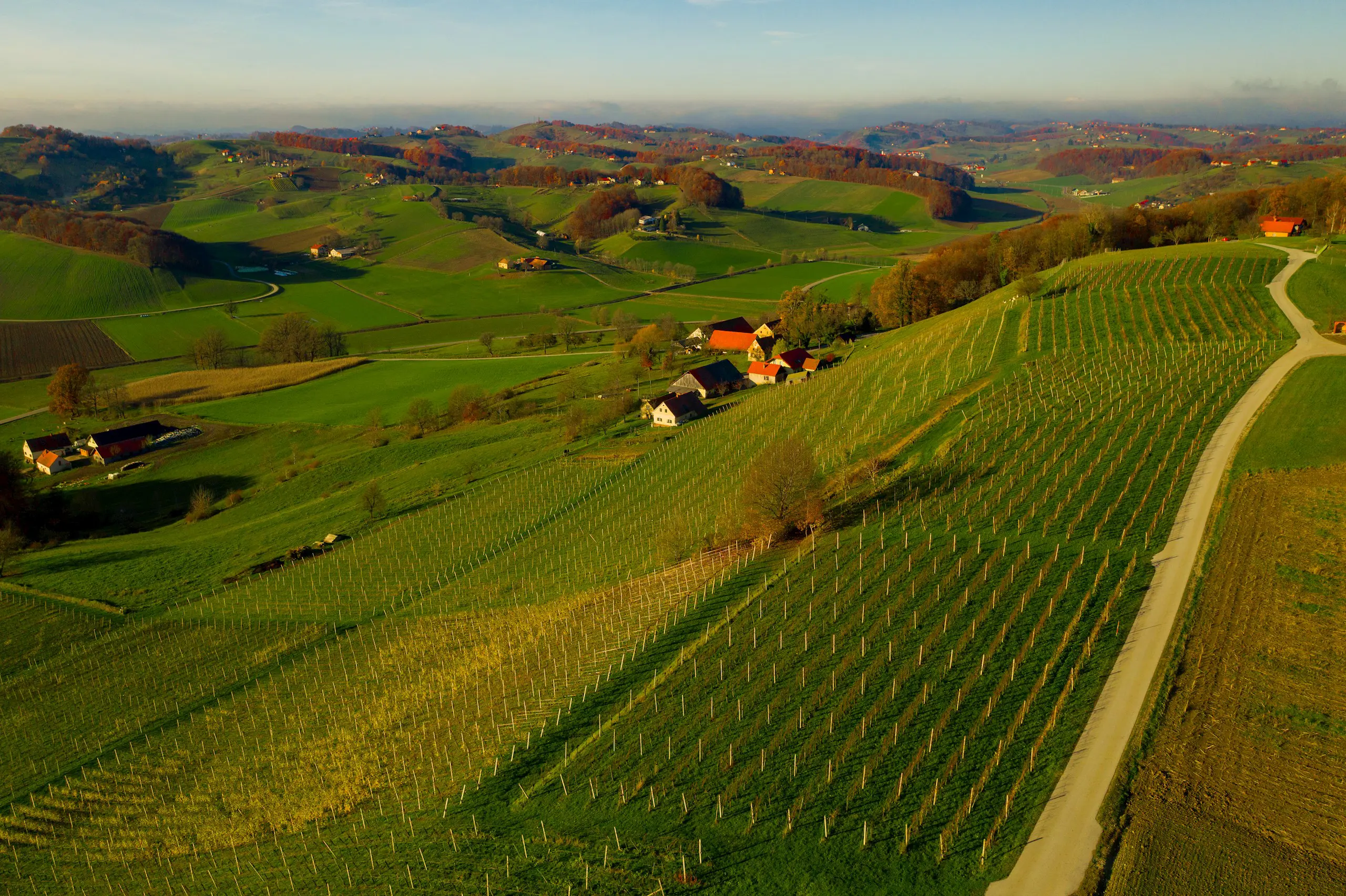 Vina Senecnik Maribor Pohorje Slovenija Slovenia Matjaz Vertus 3