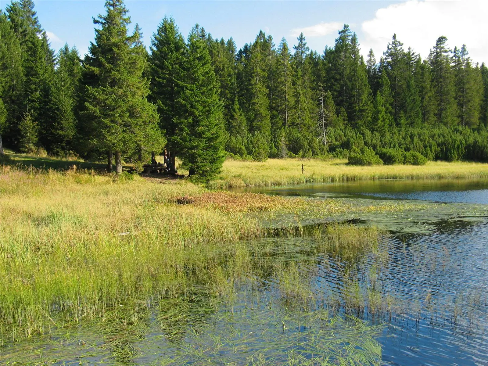 Crno Jezero3 Slovenia Slovenija Maribor Pohorje Marko Petrej