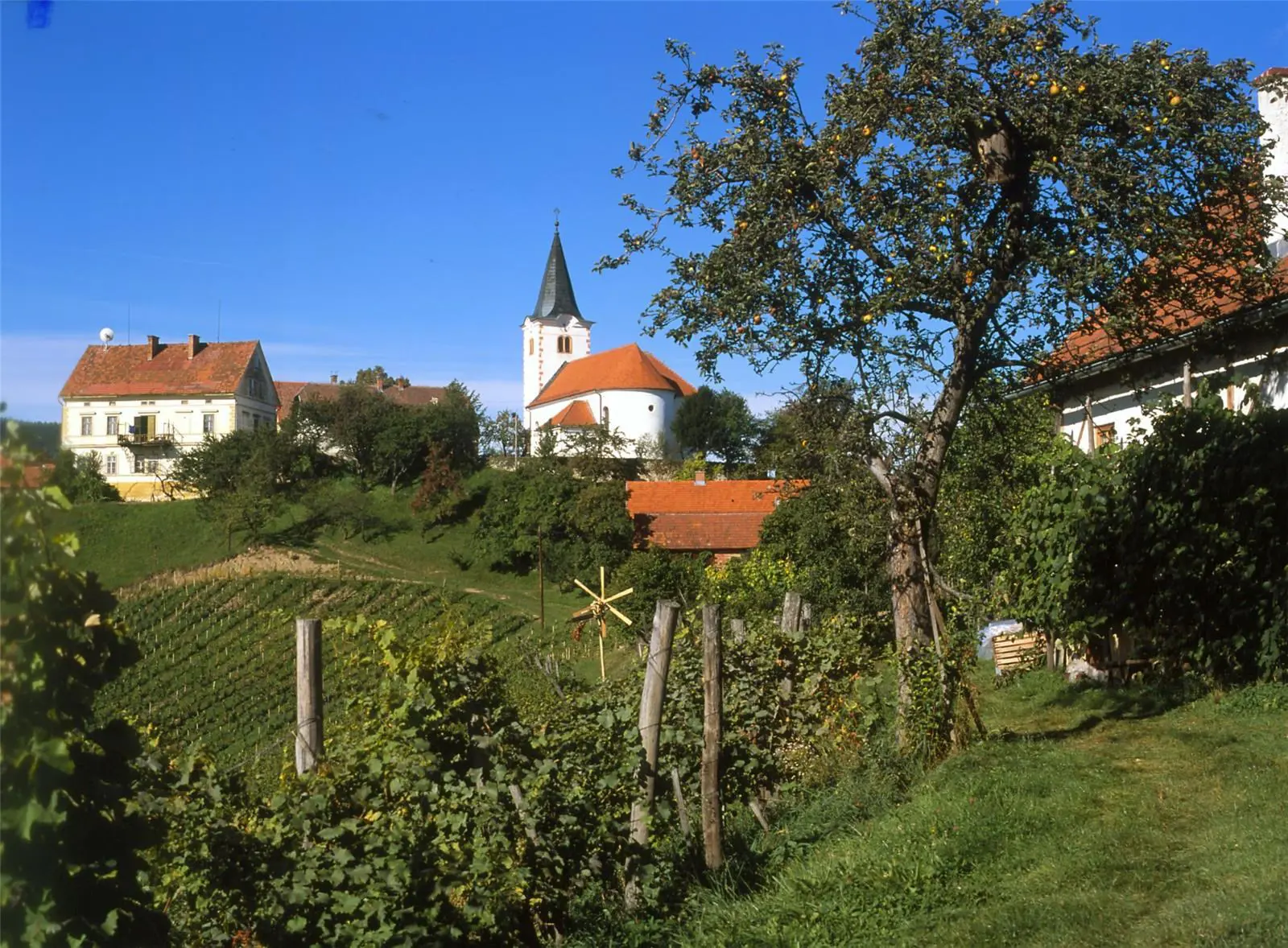 Vinotoc Hauptman Slovenia Slovenija Maribor Pohorje Vladimir Tos 2