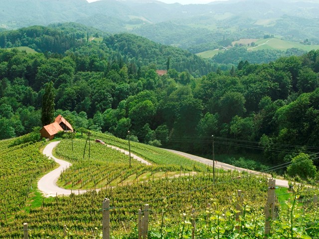 Maribor: Paradise for wine lovers - 2 days