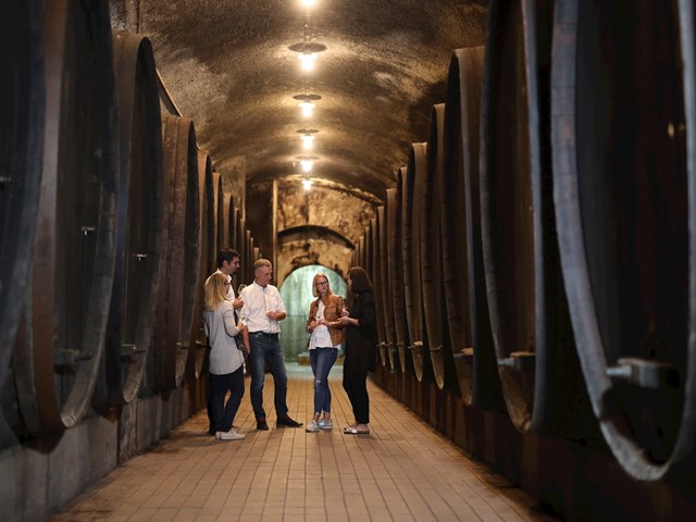 Maribor: Paradise for wine lovers - 1 day