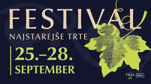 25. Festival najstarejše trte: štirje dnevi ponosa, vina in kulture v Mariboru