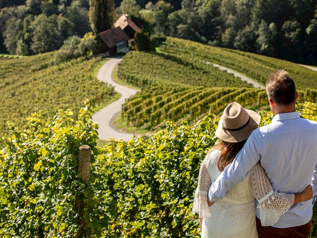 Romantični razgled sredi vinogradov