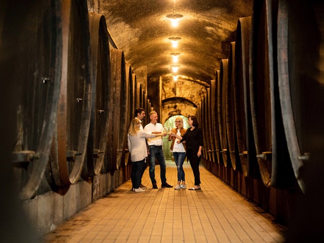 Visit and wine tasting in the Vinag Wine Cellar