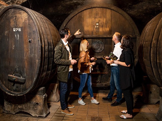 Visit and wine tasting in the Vinag Wine Cellar - for groups