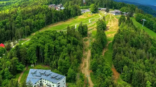 Forest View Apartment Pohorje