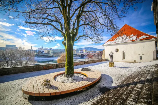 Medianox Snow