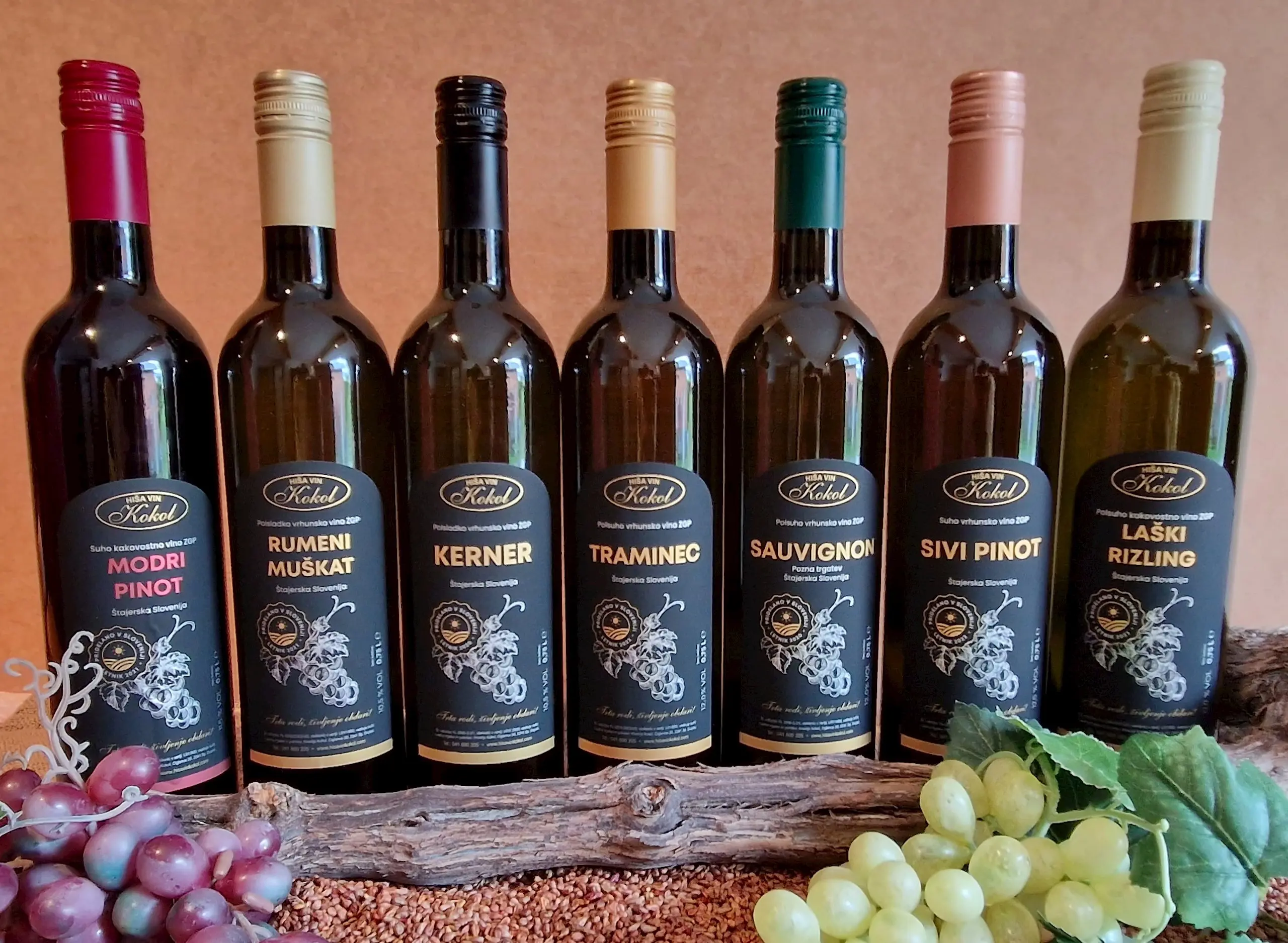 Hisa Vin Kokol Ponudba