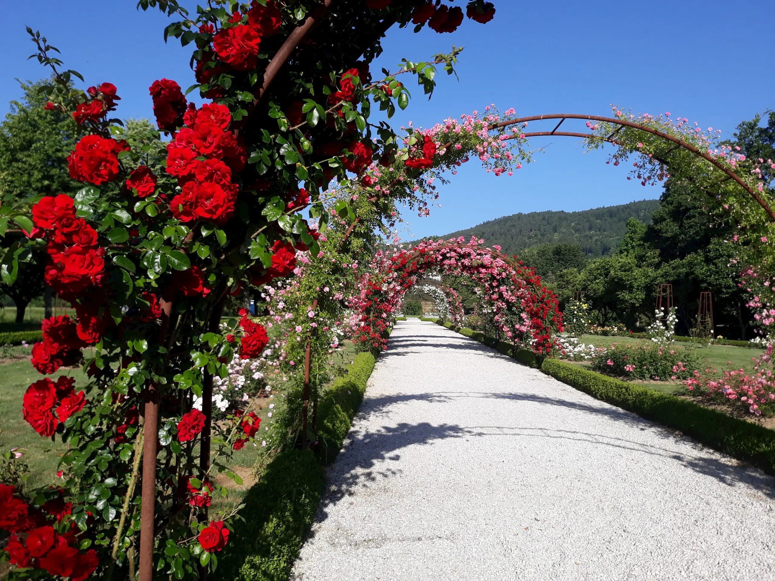 Botanicni Vrt Visit Maribor Pohorje Slovenia