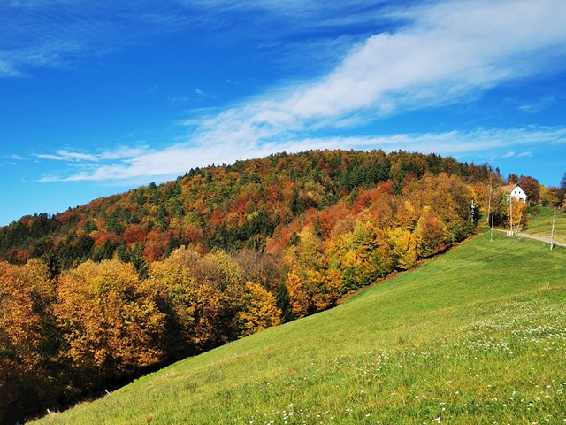 Il sentiero per la cima di Tojzl (Tojzlov vrh)