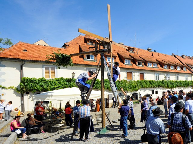 Setting up of the Wind Rattle in Front of the Old Vine House