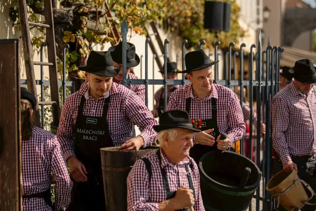 Festival Stare Trte 2023 Koronanje Mariborske Vinske Kraljice Visit Maribor Klemen Golob 4