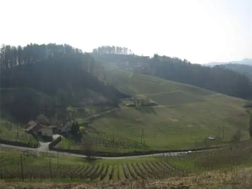 Vinogradnistvo Jamsek Slovenia Slovenija Maribor Pohorje Romana Jamsek 3