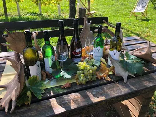 Vinotoc Pri Razglednem Stolpu Na Plackem Vrhu Maribor Pohorje Slovenija Slovenia 4