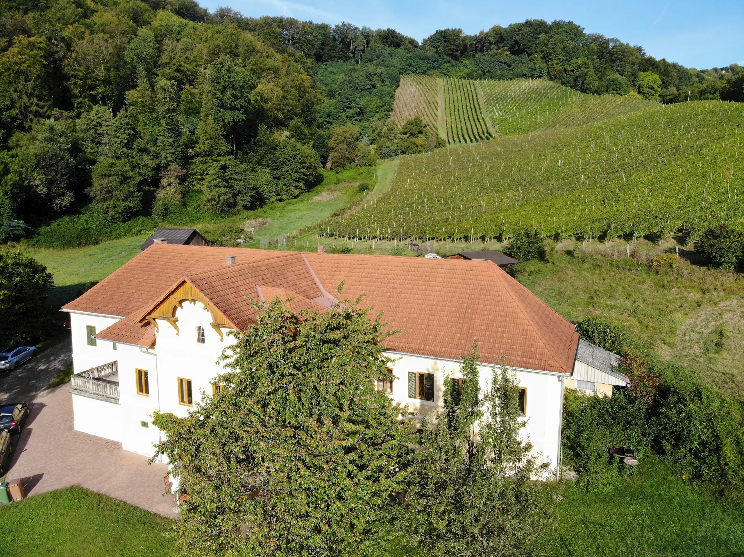 Vinogradnistvo Ramsak Maribor Slovenija Arhiv Vinogradnistvo Ramsak 3