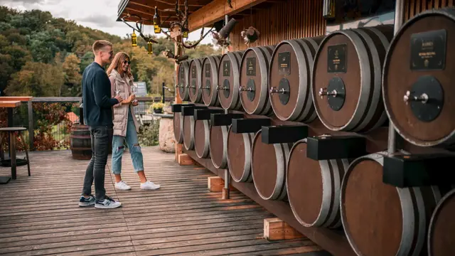 Fontana vin Vodole