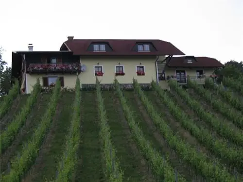 Vinogradnistvo Zorjan Slovenia Slovenija Maribor Pohorje Bozidar Zorjan 3