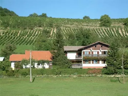 Vinotoc Crnko Slovenia Slovenija Maribor Pohorje Silvo Crnko 7