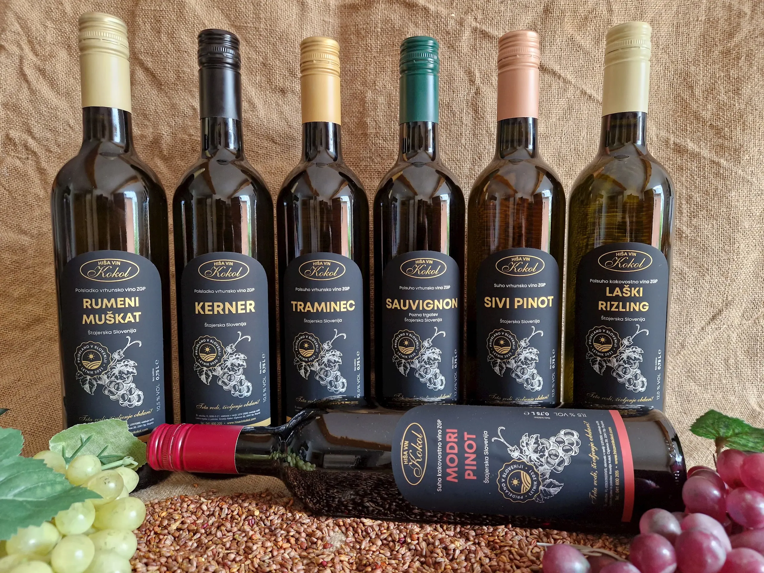 Hisa Vin Kokol Ponudba2