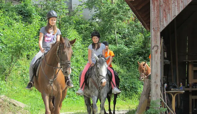 Kmetija Lipnik Jahanje Visit Maribor Pohorje Slovenia Slovenija