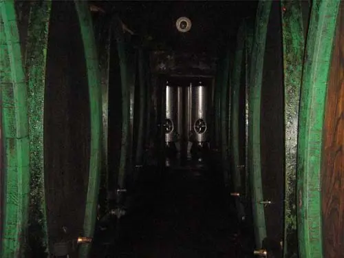 Vinogradnistvo Jamsek Slovenia Slovenija Maribor Pohorje Romana Jamsek 1