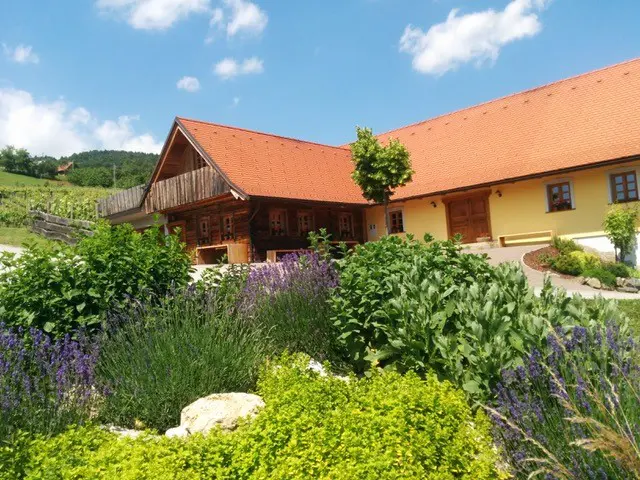 Gora Pod Lipo Maribor Pohorje Slovenija Slovenia Arhiv Gora Pod Lipa 7