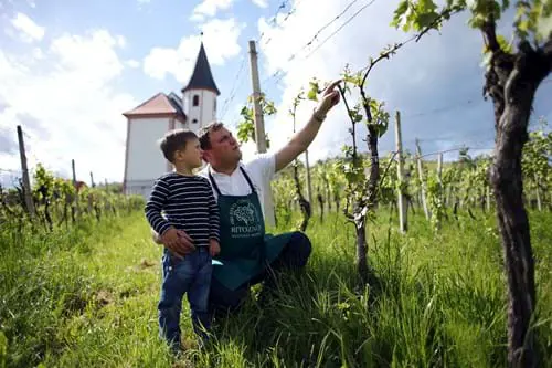 2 Vina Martinus Foto Nino Verdnik