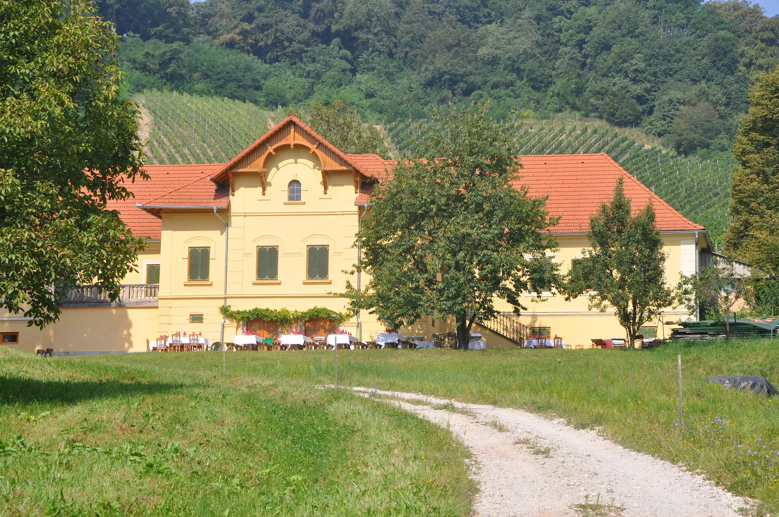 Vinogradnistvo Ramsak Maribor Slovenija Arhiv Vinogradnistvo Ramsak 2