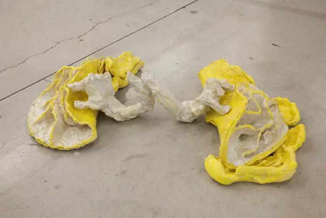 Andrea Éva Győri Travmatizirane Limone 2018 Glazirana Keramika Z Dovoljenjem Ikob Museum Of Contemporary Art Foto Ludovic Beillard