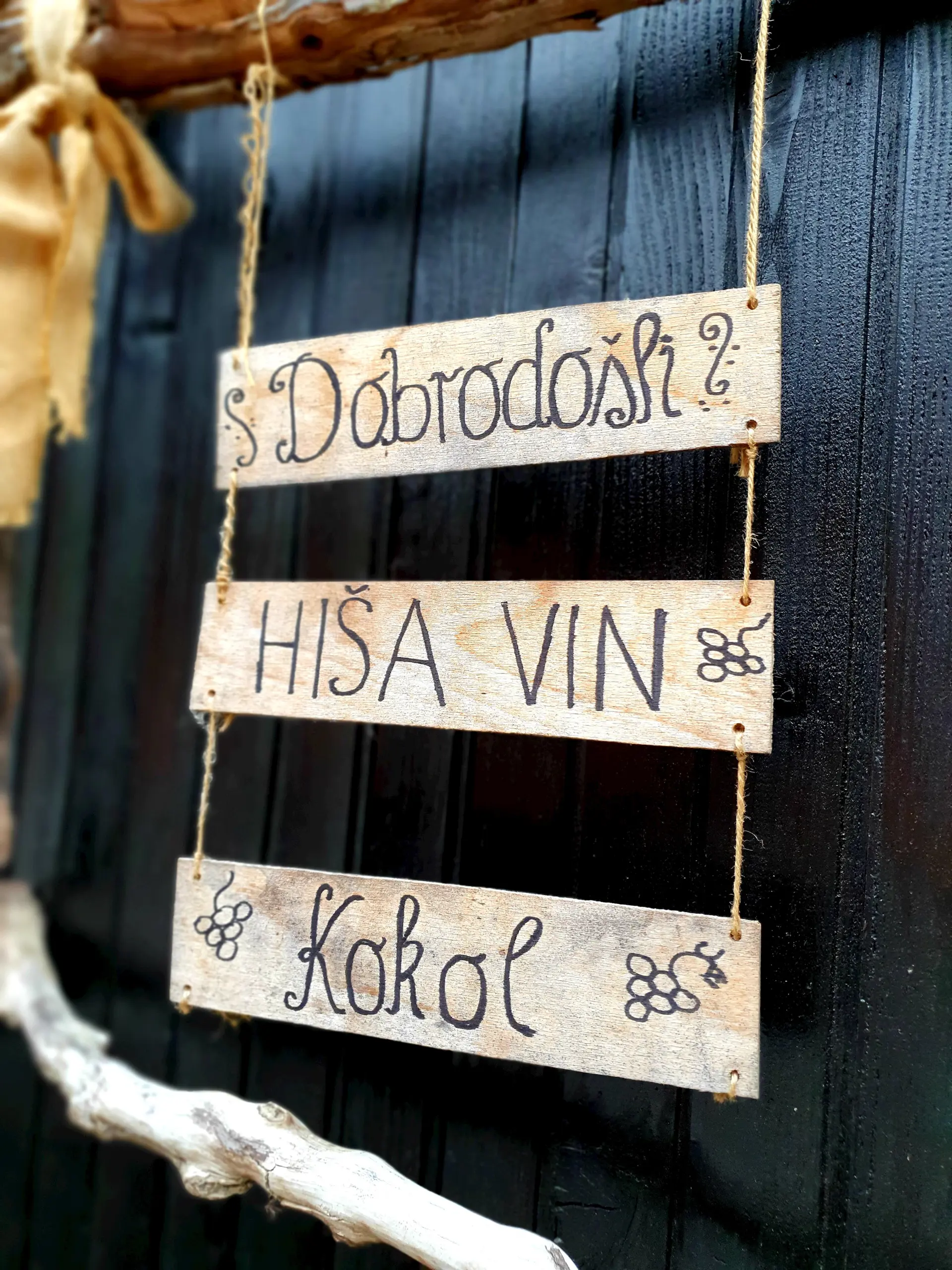 Hisa Vin Kokol Maribor Pohorje Slovenija Slovenia Petra N Ploj 3