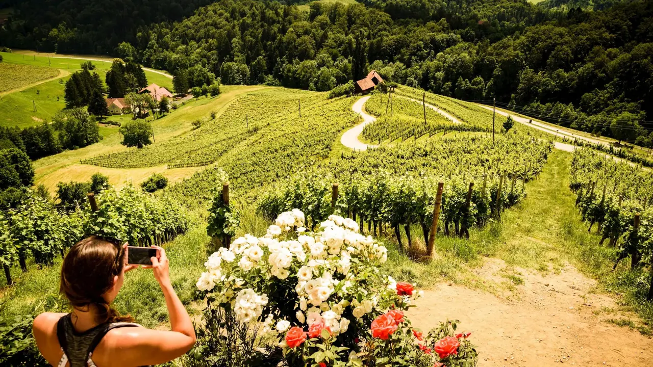 Srce Med Vinogradi Svecina Spicnik Maribor Pohorje Slovenija Slovenia Shutterstock Przemek Iciak