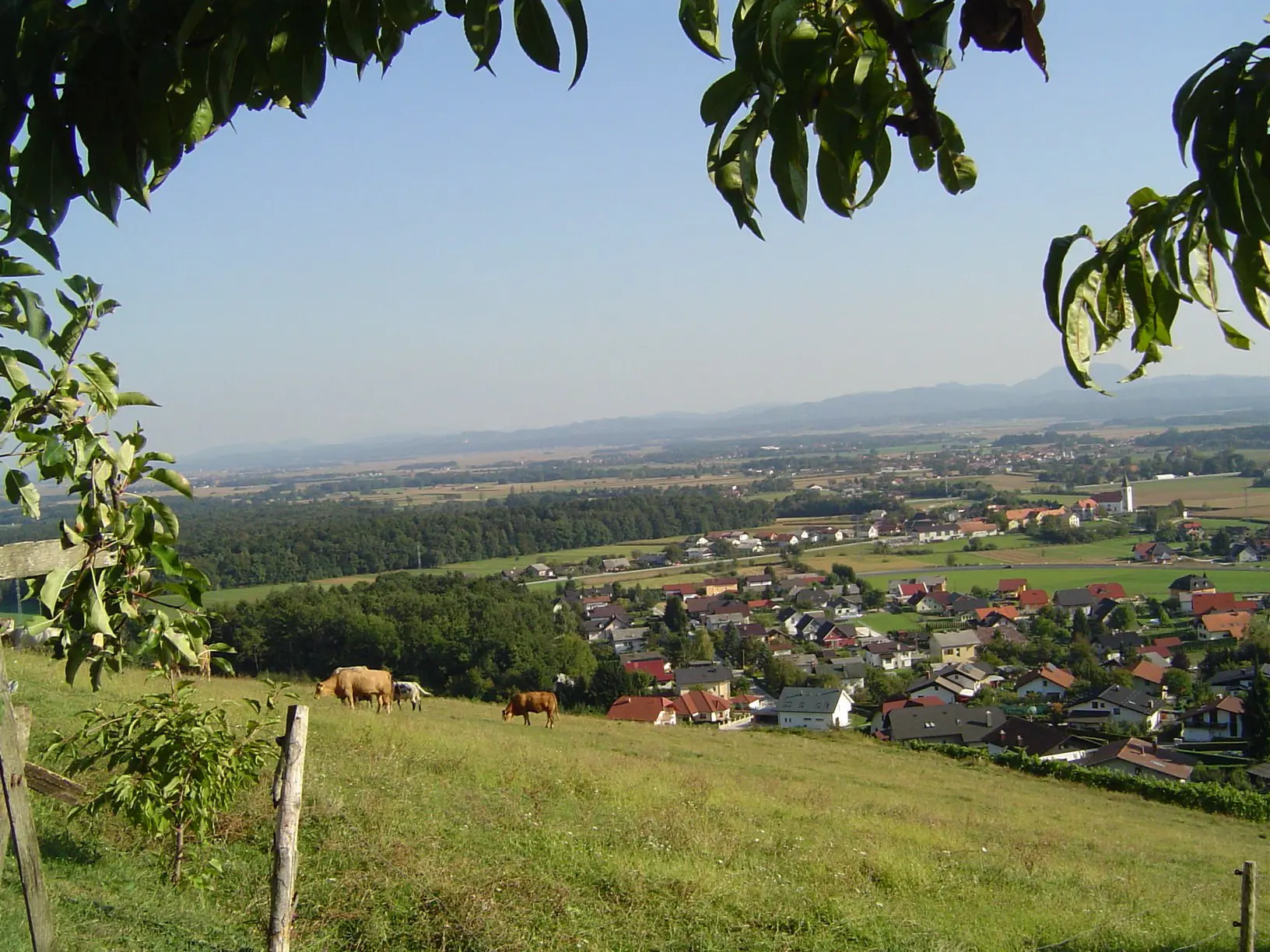 Pogled Na Haloze