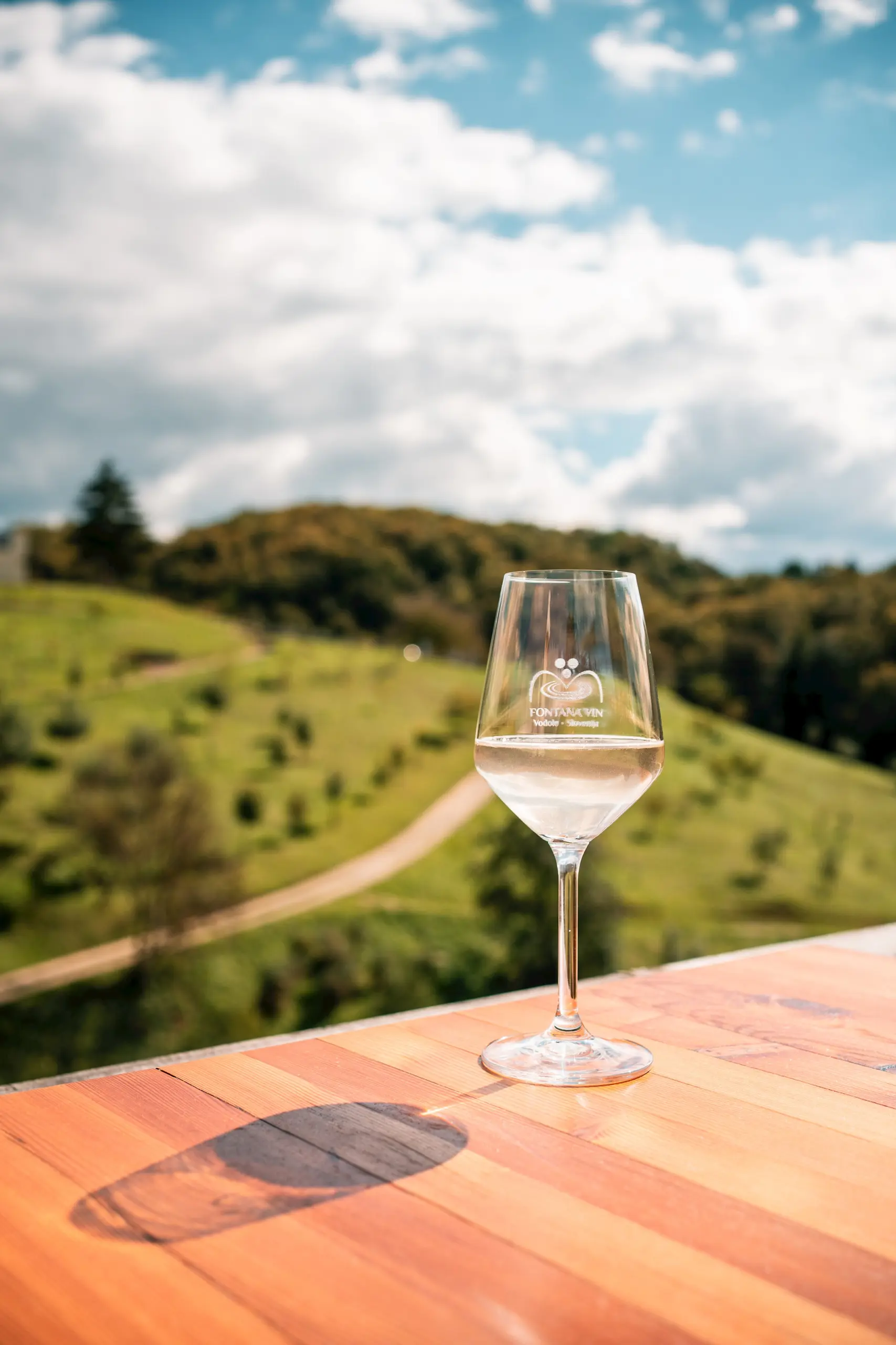 Fontana Vin Vodole Malecnik Maribor Pohorje Slovenija Slovenia Arhiv Fontana Vin Vodole 1