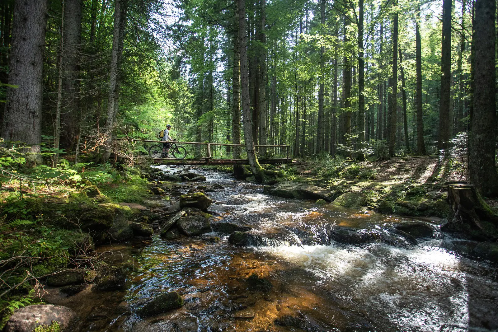 F013137 Pohorje Sumik Kolesarjenje Jost Gantar Photo M