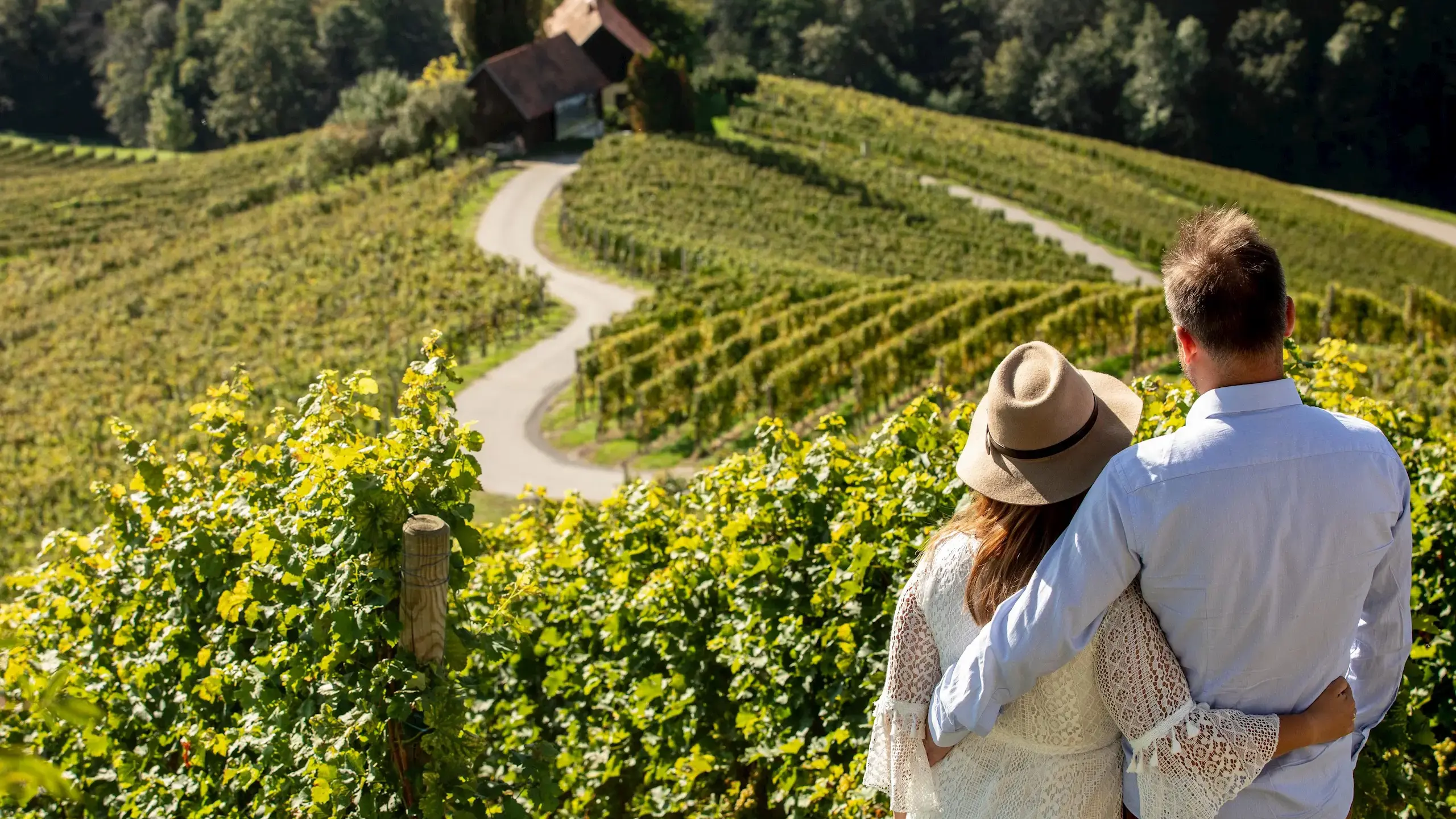 Srce Med Vinogradi Vinska Cesta Spicnik Maribor Pohorje Slovenija Slovenia Vid Ponikvar 02