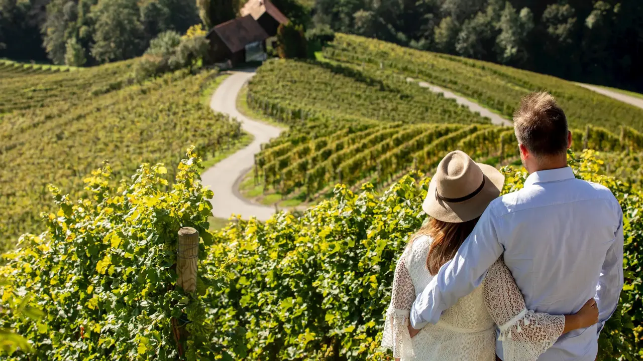 Srce Med Vinogradi Vinska Cesta Spicnik Maribor Pohorje Slovenija Slovenia Vid Ponikvar 02
