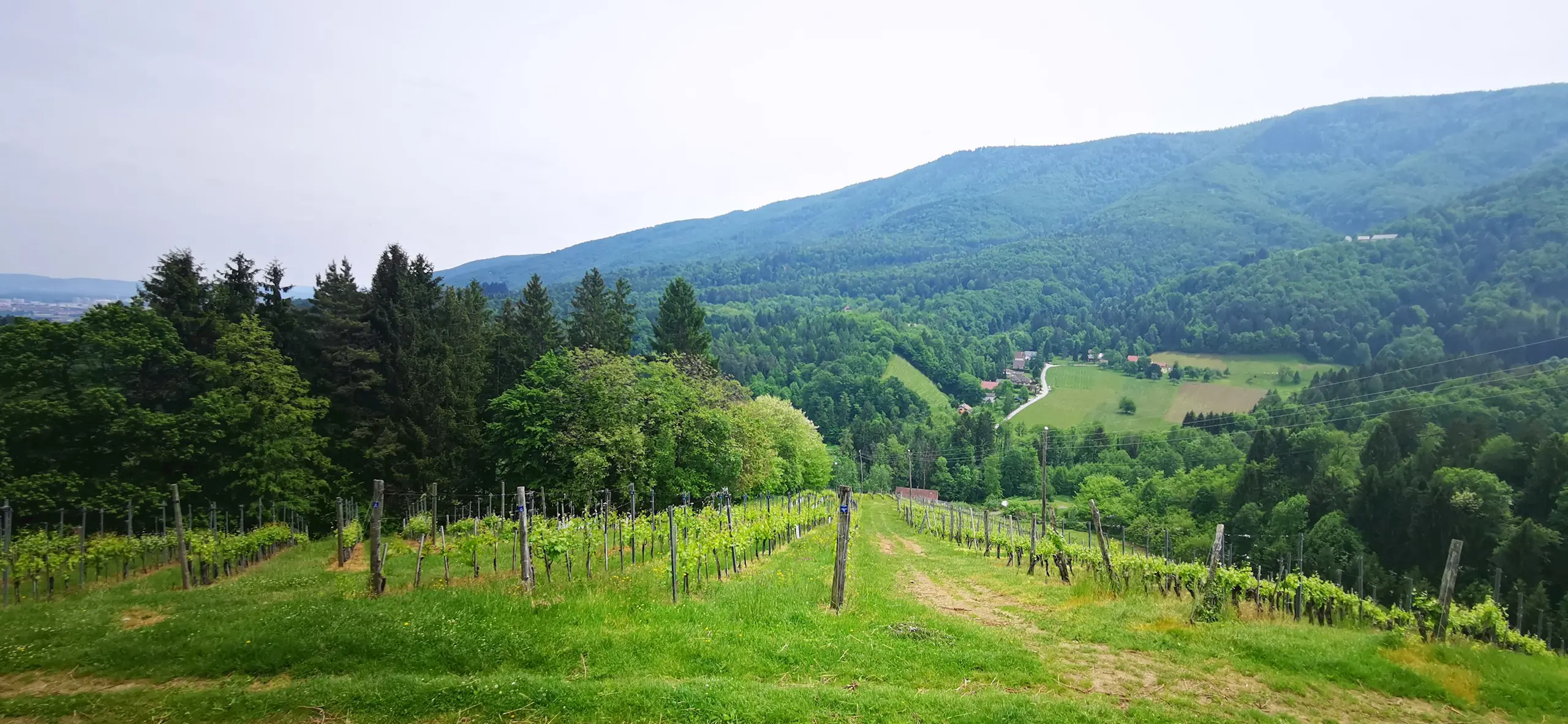 Univerza V Mariboru Fakulteta Za Kmetijstvo In Biosistemske Vede Meranovo Maribor Pohorje Slovenija Slovenia Karmen Razlag 6
