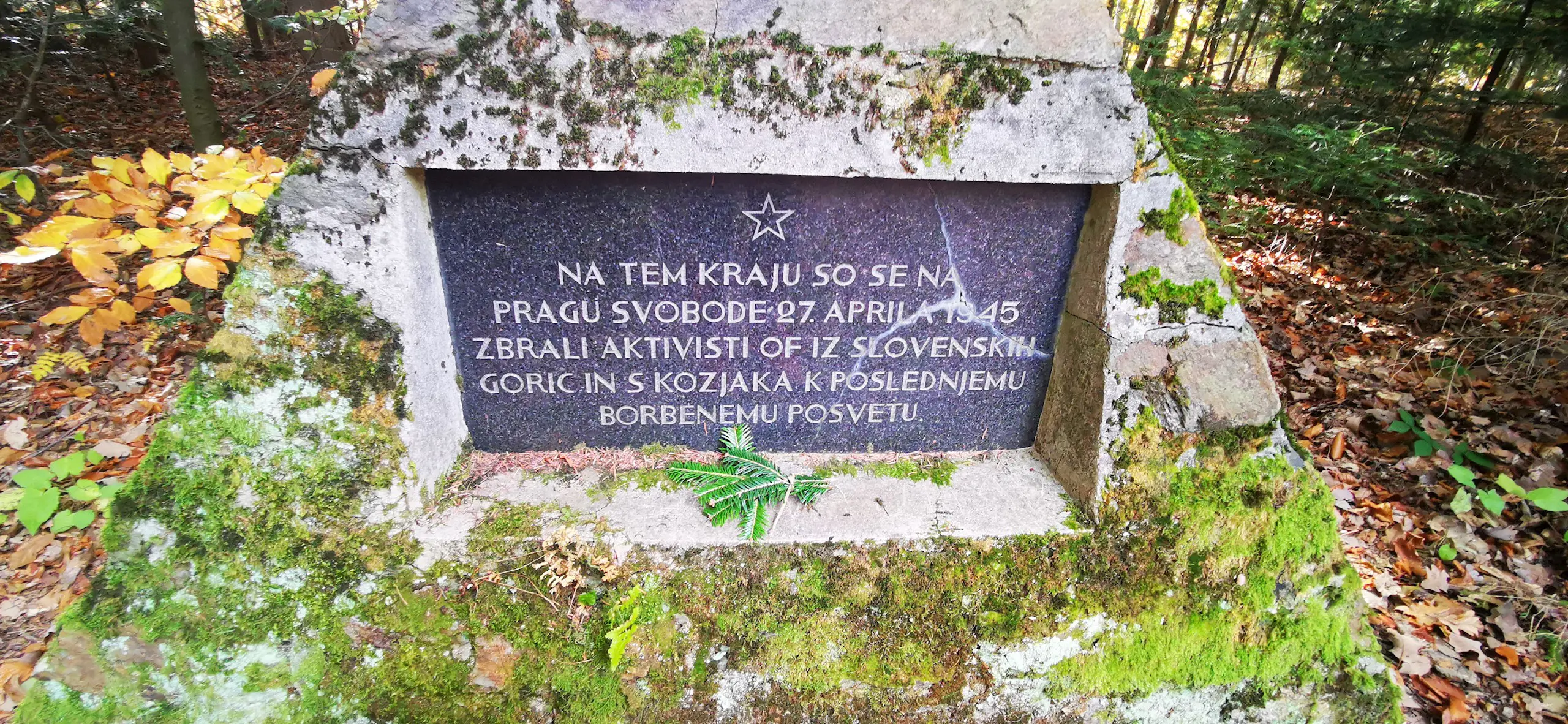 Tojzlov Vrh Maribor Pohorje Slovenija Slovenia Karmen Razlag 1