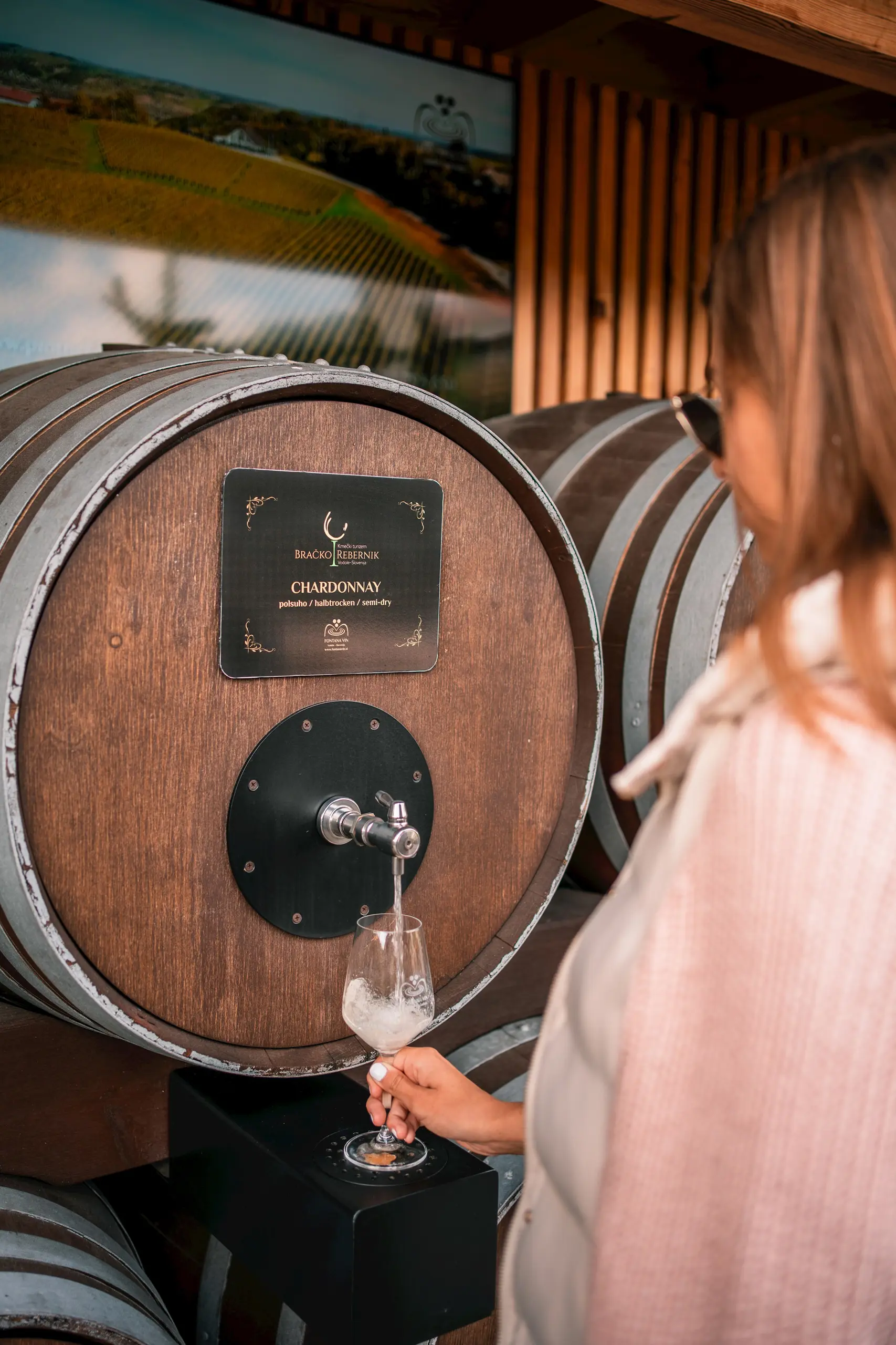 Fontana Vin Vodole Malecnik Maribor Pohorje Slovenija Slovenia Arhiv 3