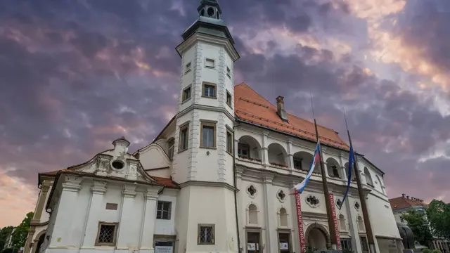 Mariborski grad